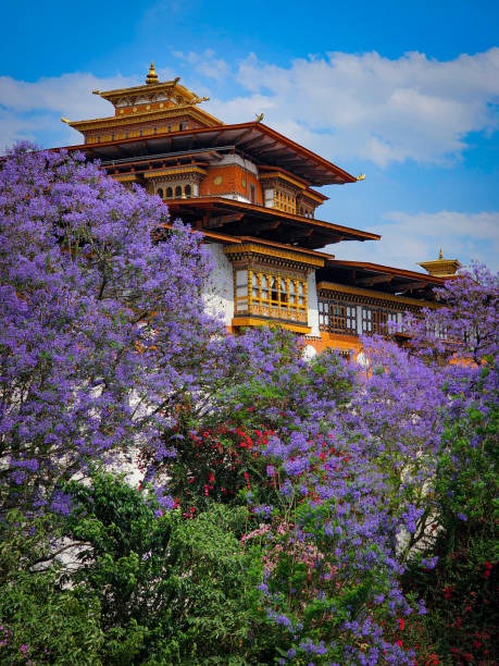 Bhutan Adventure: 8 Days of Culture and Nature