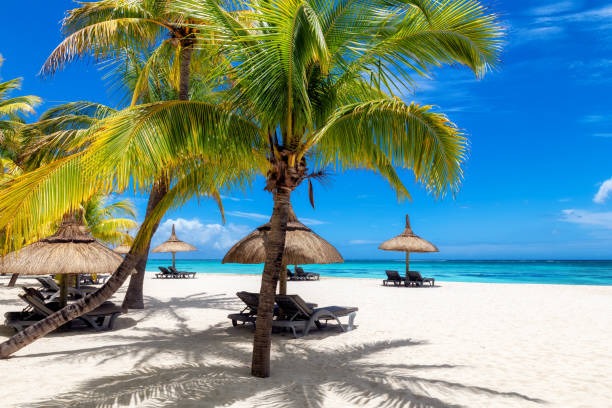 Goa Getaway: 10 Days of Sun, Sand, and Serenity