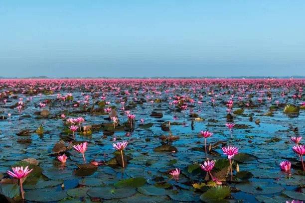 Thailand Adventure: Culture, Beaches, and Nature in 4 Days