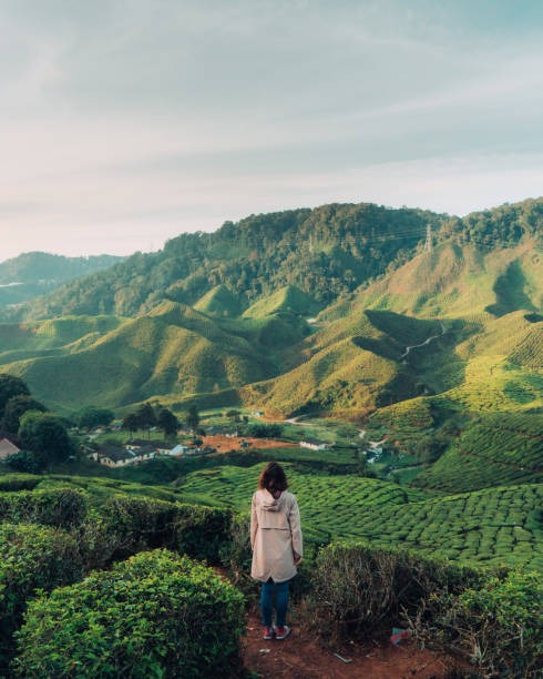 Discover Thailand: A 5-Day Cultural Adventure