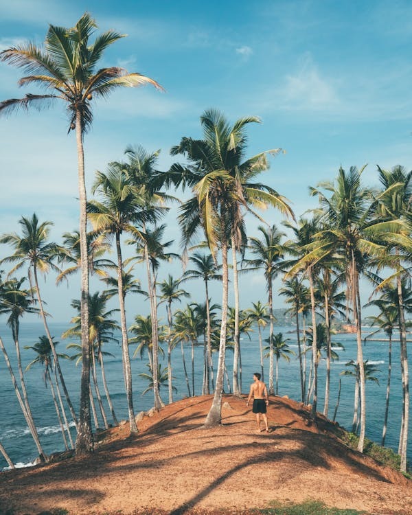 Sun-Kissed Goa: 7 Days of Exploration and Relaxation