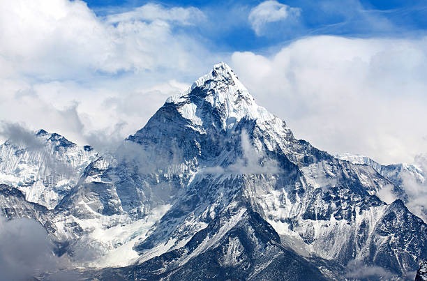 Nepal Odyssey: 7 Nights of History, Nature, and Wildlife