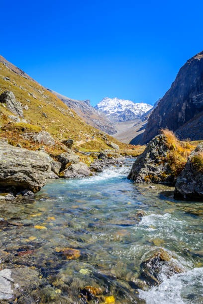 Manali