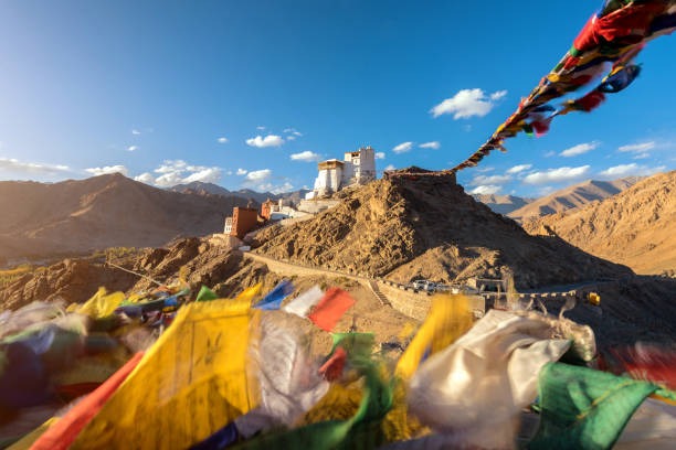 Essence of Ladakh: A 7-Day Journey