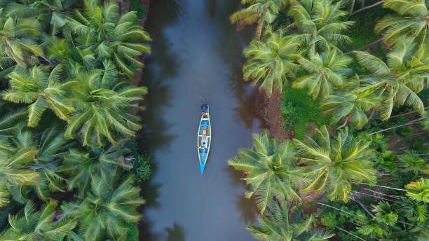 The Backwaters of Kerala: A Serene Escape