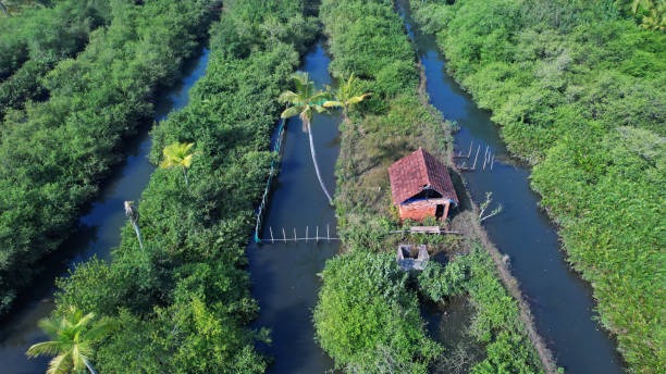 Kerala Backwaters: A Memorable 8-Day Retreat