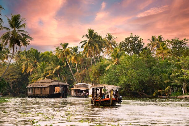 Kerala Backwaters: A Memorable 8-Day Retreat